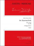 Im Sturmschritt Op. 348 