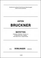 Motetten 