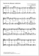 Nun bist du, Heiland, wirklich da G-Dur Standard