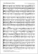 Alma Redemptoris mater a-Moll Standard