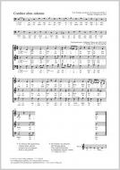 Conditor alme siderum phrygisch Standard