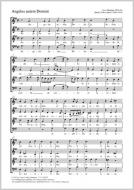 Angelus autem Domini G-Dur Standard