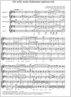 Ich wollt, meine Schmerzen ergössen sich (2012) Standard