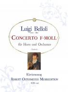 Concerto für Horn und Orchester f-Moll 