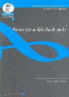 Wenn der wilde Bach perlt 