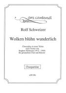 Wolken blühn wunderlich 