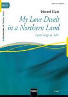 My Love Dwelt In A Northern Land 