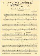 Es muß ein Wunderbares sein 