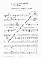 Ein Stern steht über Bethlehem 