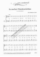 In raschen Wanderschritten 