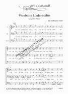 Wo deine Lieder stehen 