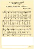 Sonnenuntergang am Meer 