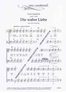 Die wahre Liebe 