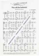 Was soll das bedeuten 