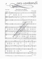 Rote Rosen am Hügel 