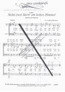 Stehn zwei Stern' am hohen Himmel 