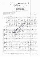 Trostlied 