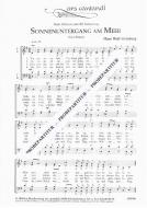 Sonnenuntergang am Meer 