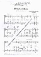 Waldesgruss, op. 2 