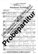 Wanderers Nachtlied 