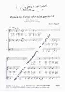 Rauhreif die Zweige schmücket geschwind 