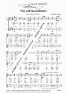 Was soll das bedeuten 