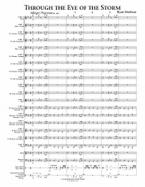 Through The Eye Of The Storm 