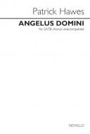 Angelus Domini 