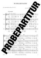 In stiller Nacht Standard