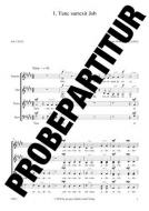 Tunc surrexit Job Nr. 1 Standard