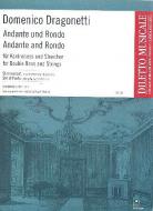 Andante und Rondo D-Dur 