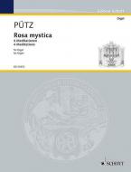 Rosa mystica Standard