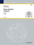 Rosa mystica Standard