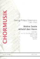 Meine Seele erhebt den Herrn TVWV 1:1754 