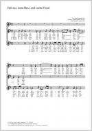 Geh aus, mein Herz, und suche Freud 