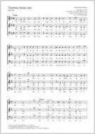 Tenebrae factae sunt MH 162 