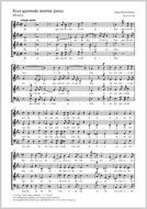 Ecce quomodo moritur justus Standard