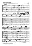 Quem vidistis, pastores MH 639, 3 