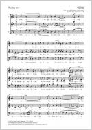 O crux ave phrygisch Standard