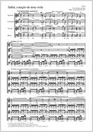 Sabiá, coracoa de uma viola Standard