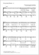 S' one strane Dunava Standard