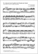 Es schrecke kein Unglück den Frieden der Nacht Standard