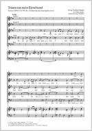 Tränen tun mein Elend kund Standard