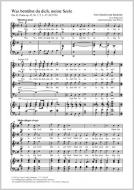 Was betrübst du dich, meine Seele MWV 42 Standard