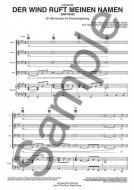 Der Wind ruft meinen Namen 