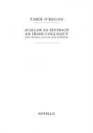 Acallam na Senórach 