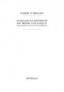 Acallam na Senórach 