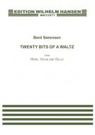 Twenty Bits Of A Waltz 