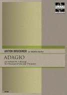 Adagio aus Sinfonie Nr. 7 (Auszug) 