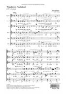 Wanderers Nachtlied 